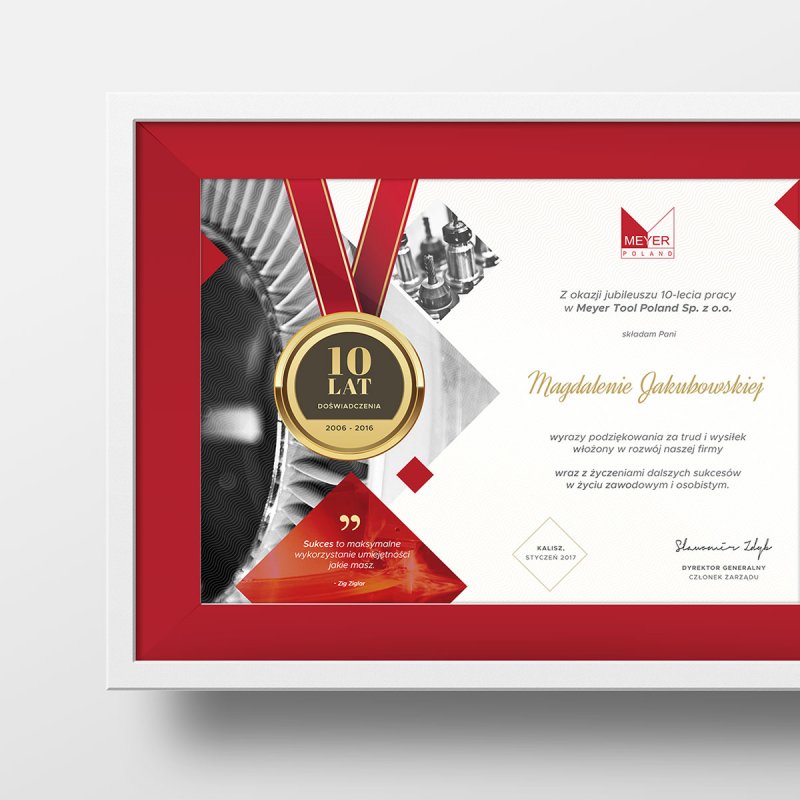 DP-01A4 Dyplomy standard